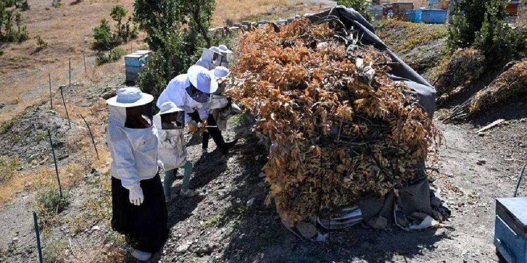 Şehirdeki kariyerini bıraktı, doğayla kazanmaya başladı: Ailesi en büyük yardımcısı: 3 yılda kazancını katladı! 3